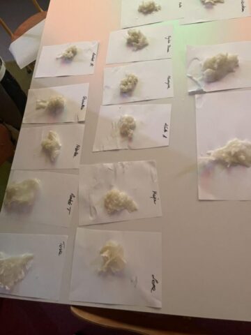 592882919_819128927600956_1754361211354134306_n